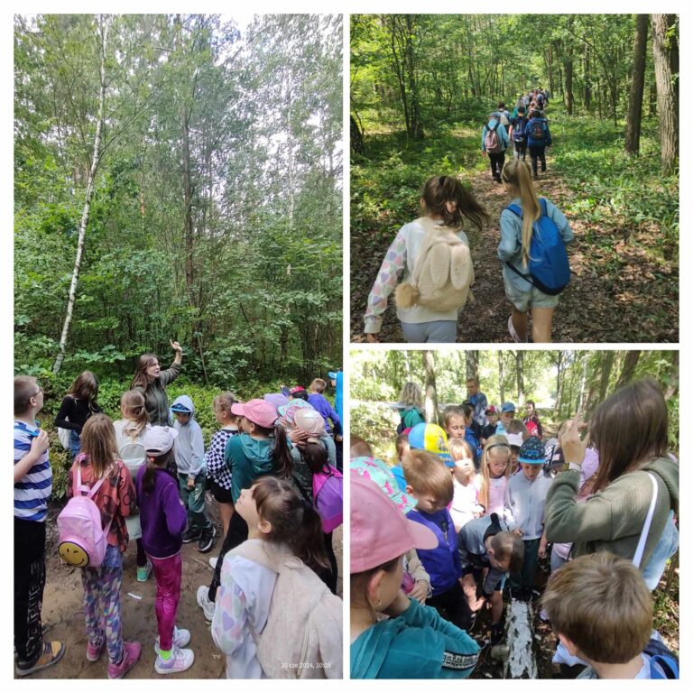 Spacer uczniów klas I-II po ścieżce edukacyjnej w lesie.