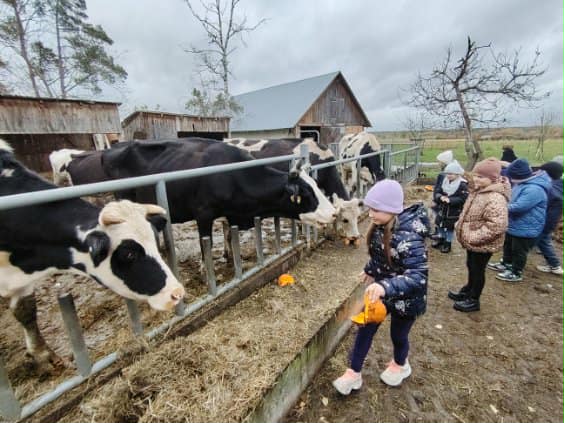 Uczniowie kl. II podczas karmienia zwierząt