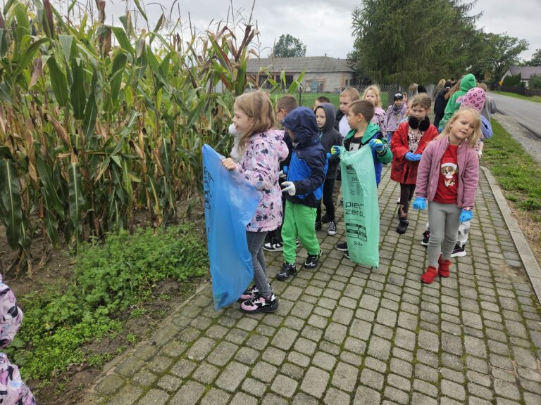 Sprzątamy  okolice.