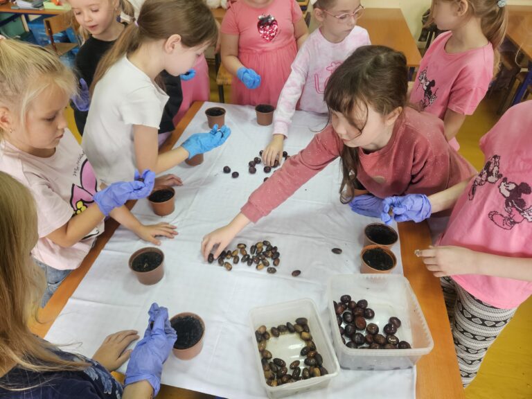 Zakładamy hodowlę kasztanowca i dębu.