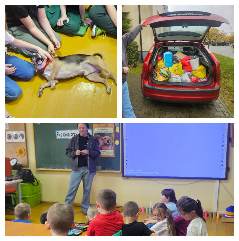 Grabek-pupil Azylu. Zebrana karma. Zajęcia prowadzone przez przedstawiciela Azylu.