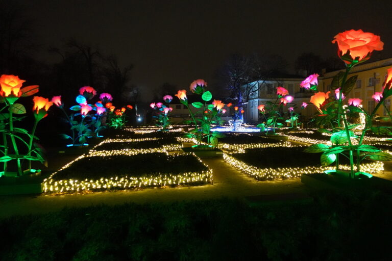 Spacer po ogrodach światła pałacu wilanowskiego.