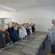 Uczniowie obserwują proces produkcji krówek.